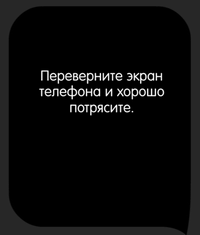 Каверзный тест Какая из летучих мышей настоящая?